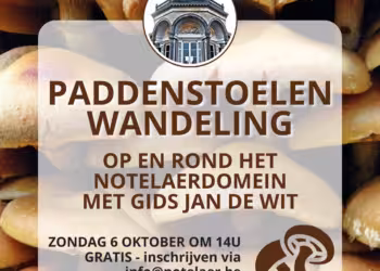 De notenlaer – Paddenstoelenwandeling