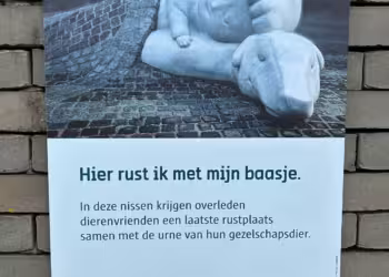 As van huisdier kan binnenkort bij overleden baasje in Schoonselhof