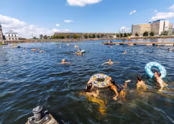Sporting A blikt terug op succesvol Antwerps openluchtzwemseizoen