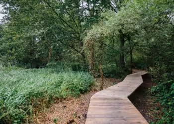 Stad Antwerpen koopt De Blikvelden in Hoboken aan