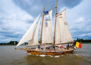 Tall Ships Rupel, Saeftinghe en Williwaw terug in Antwerpen