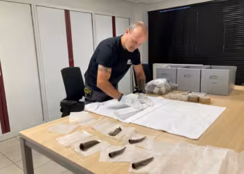 Bronzen wapens te zien op prestigieuze Nederlandse tentoonstelling. Een primeur voor het Provinciaal Archeologisch Depot