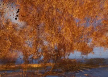 De nieuwe Antwerpse galerie IN-DEPENDANCE opent officieel met de solotentoonstelling van de Belgische kunstenaar Anton Kusters