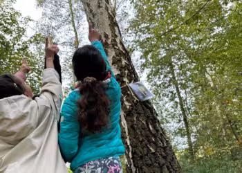 Lierse leerlingen op stap met Billie Bosmuis in het PIME tijdens de Week van het bos