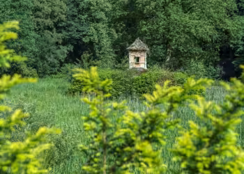 Restauratie eendenpaviljoen op Hof ter Borght van start