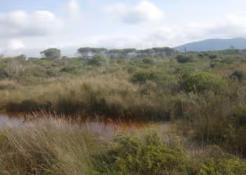 Grosseto in Toscane kreeg de award 2024 voor Europese Groene Pionier van Slim Toerisme