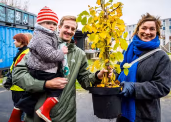 2000 gratis bomen voor Antwerpse tuinen