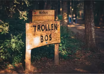 Provinciaal domein De Schorre zet in op een vernieuwd, jaarrond toegankelijk Trollenbos