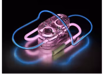 Tentoonstelling : MAESTRIA