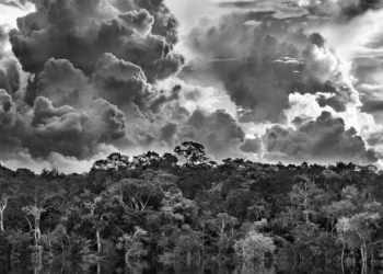 Amazônia Sebastião Salgado