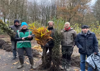 Antwerpse bosrandactie: meer dan 18.000 boompjes beschermen onze bossen en de dieren die er leven