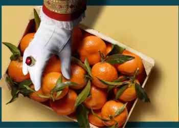 De Sint bevoorraadt zich bij Delhaize met 5 miljoen mandarijnen, meer dan 1 miljoen chocolade figuurtjes en nog meer lekkers