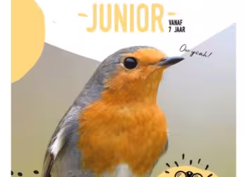 De slimste vogelgids Junior van Jan Rodts