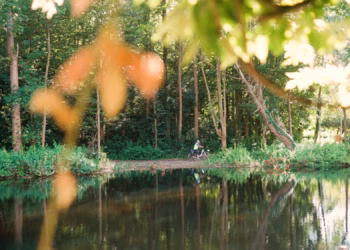 “Mens, dier en natuur moeten samen kunnen floreren”
