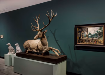 Museum Hof van Busleyden pakt uit met een uitbundige tentoonstelling