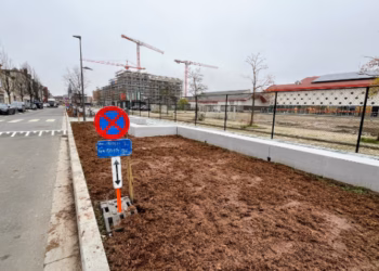 Start aanplanting bomen Slachthuissite