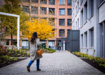 Vergroeningswerken Den Bell afgerond