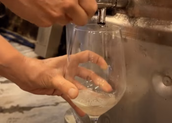 SPAANS-BASKENLAND VOOR WINE LOVERS EN FOODIES – Onbekend en onbemind?