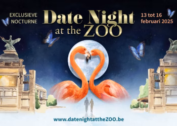 Vier Valentijn met een exclusieve date in ZOO Antwerpen