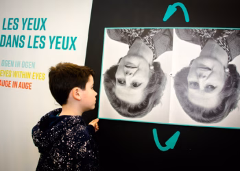 Illusies Wie heeft het mis? Wie heeft gelijk?