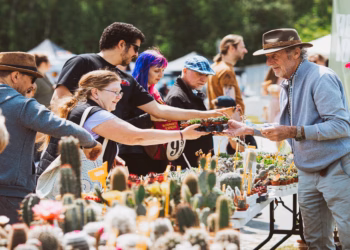 Plantacties in de vallei van de Grote Nete