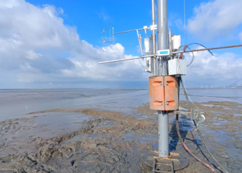 Nieuw meetstation onderzoekt impact natuurherstel op broeikasgassen in Hedwige-Prosperpolder