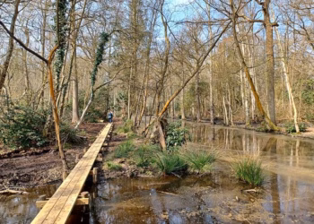 Nieuwe infrastructuur in park Zellaer zorgt voor betere toegankelijkheid