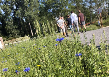 Provincie Antwerpen zoekt 5 gemeenten om hun Gemeentewegen onder de loep te nemen