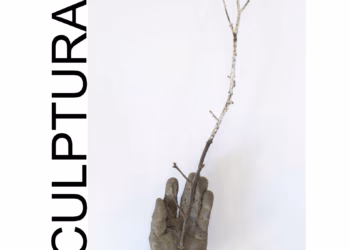 SCULPTURA / Stief DeSmet