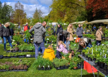 Dagje shoppen bij de beste plantenkwekers