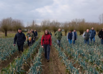 Delhaize pioniert met Teeltacademie: samenwerken met Belgische telers voor duurzamere groententeelt