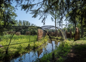 Stichting Kempens Landschap neemt beheer oudste eendenkooi van Europa over