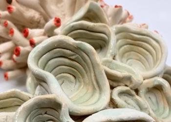 5 voor 12 voor het koraalrif – expo keramiek