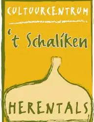 Jazzpianist Jef Neve cultuurambassadeur cc ’t Schaliken