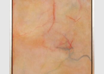 Calvin Marcus stelt zijn Skin Paintings tentoon in het Museum Dhondt-Dhaenens