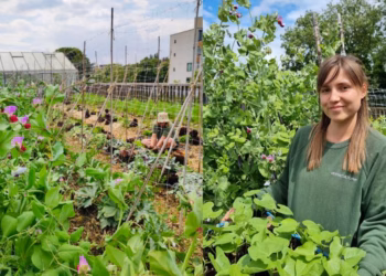 Delhaize en Vestaculture vieren 8 jaar Urban Farm-project