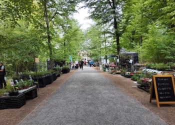 Een zonnige eerste dag Tuinkriebels