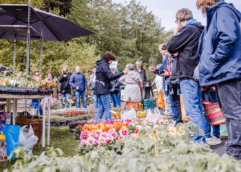 Groene inspiratie en kruiwagens vol planten
