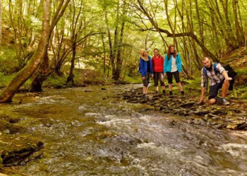 WANDELEN IN HET VAKANTIELAND COCHEM – DUITSE MOEZELSTREEK