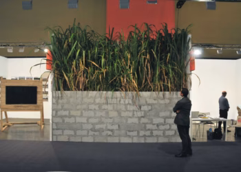 Museum Dhondt-Dhaenens presenteert een project van de Braziliaanse kunstenares Cinthia Marcelle