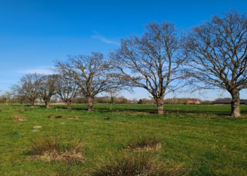 Provincie en POM Antwerpen kiezen voor duurzame toekomst Duwijck: geen uitbreiding bedrijventerrein, wel ruimte voor samenwerking