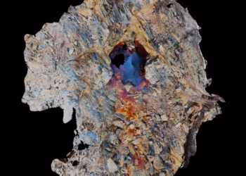 Tentoonstelling : Hervé Charles