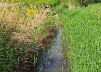 Tijdelijk onttrekkingsverbod voor stroomgebied Kleine Aa