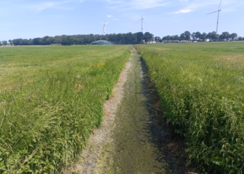 Uitbreiding van het tijdelijk onttrekkingsverbod voor onbevaarbare waterlopen