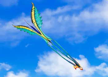 Vliegerhappening met spectaculaire vliegers, acrobatie en workshops