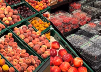 Eerste hittegolf zet zomerse trends en verkoop bij Delhaize in beweging