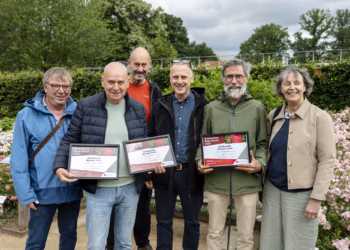 Rosa Millie Fleur wint Rivierenhof Rose Award