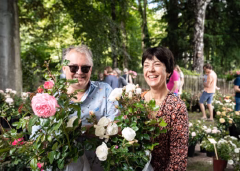 Rozenfeest laat het Rivierenhof bloeien