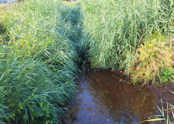 Uitbreiding van het tijdelijk onttrekkingsverbod voor onbevaarbare waterlopen