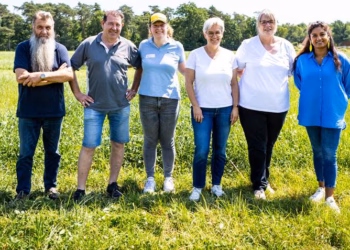 Zien we binnenkort meer productief kruidenrijk grasland op Vlaamse bodem?